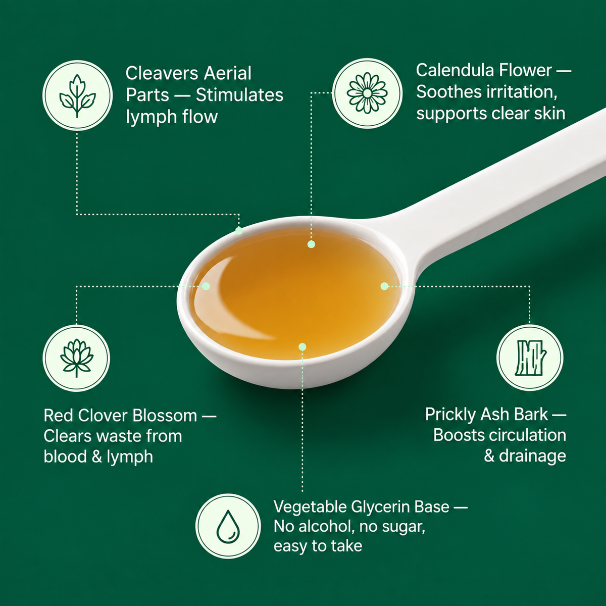 Northea Lymphatic Drainage Drops For Daily Wellness And Whole-Body Relief